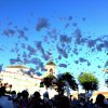 2016 Fiestas del Cristo de la Caridad